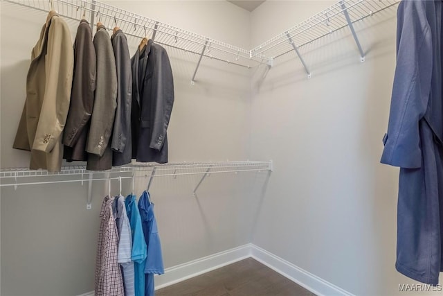 spacious closet featuring dark hardwood / wood-style floors