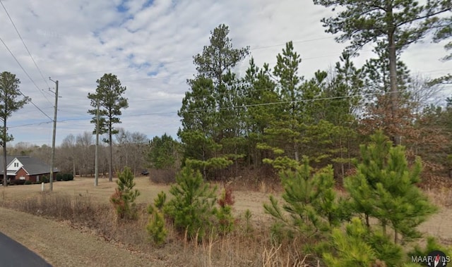 5 Asbury Ln Unit 1, Tallassee AL, 36022 land for sale