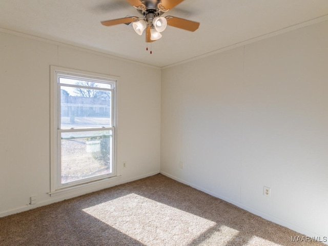 carpeted spare room featuring ceiling fan and ornamental molding