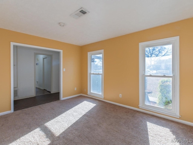 spare room featuring a wealth of natural light and carpet flooring