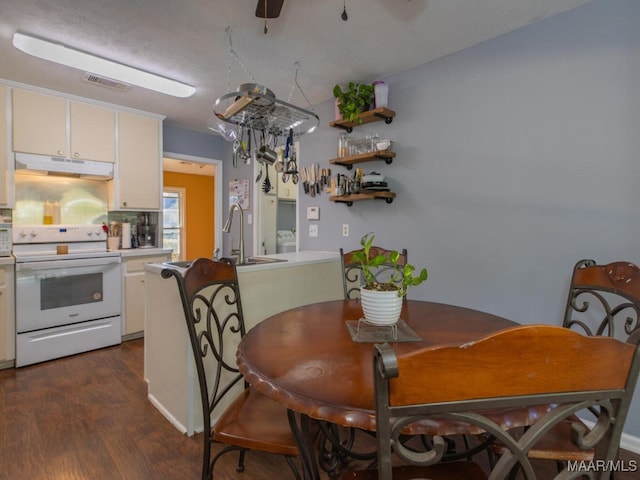 dining room featuring dark wood-type flooring and sink