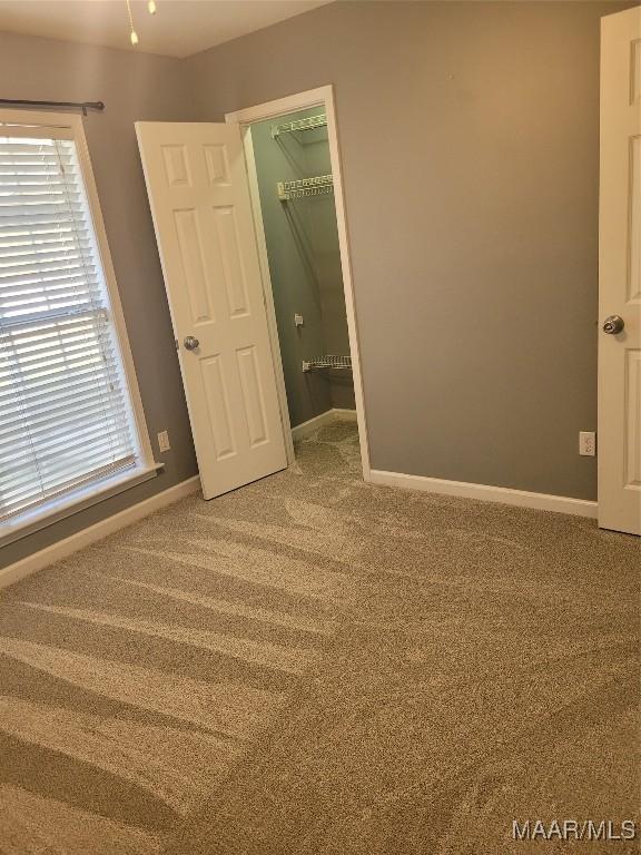 unfurnished bedroom featuring a spacious closet, a closet, and carpet flooring