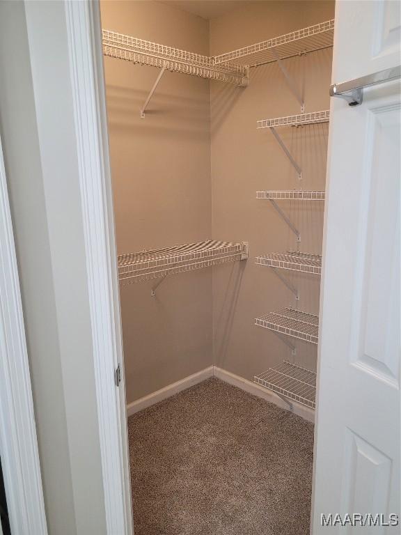 spacious closet featuring carpet floors