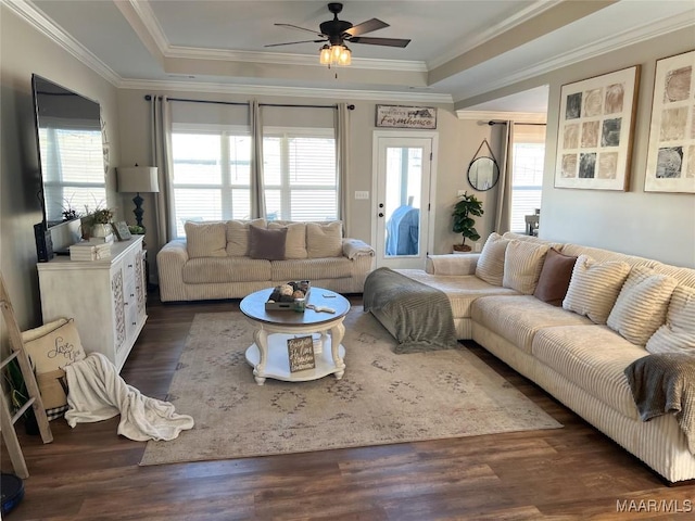 living room with dark wood-type flooring, a raised ceiling, and a healthy amount of sunlight