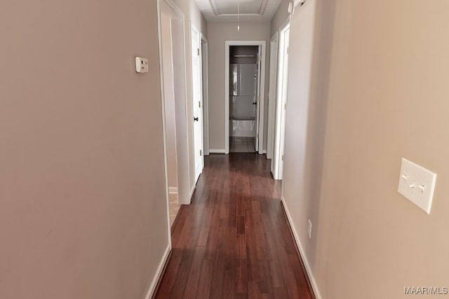 hall featuring dark hardwood / wood-style floors