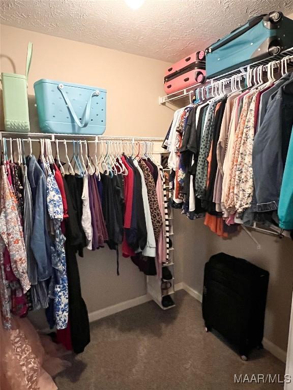 spacious closet featuring carpet floors