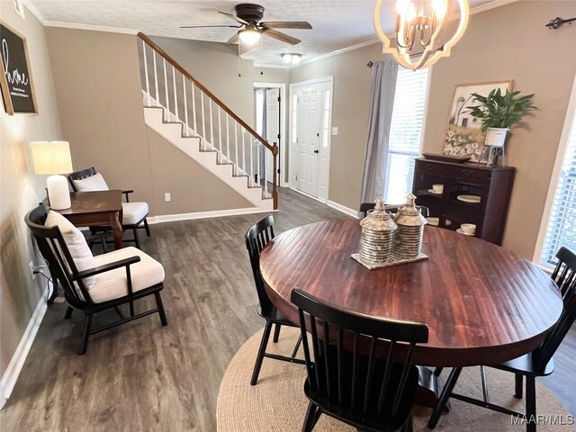 dining room featuring ceiling fan with notable chandelier, a textured ceiling, dark hardwood / wood-style floors, and crown molding