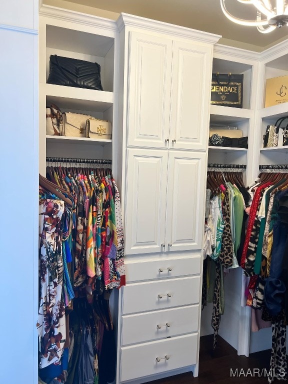 view of closet