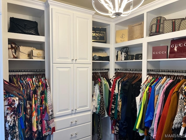 view of spacious closet