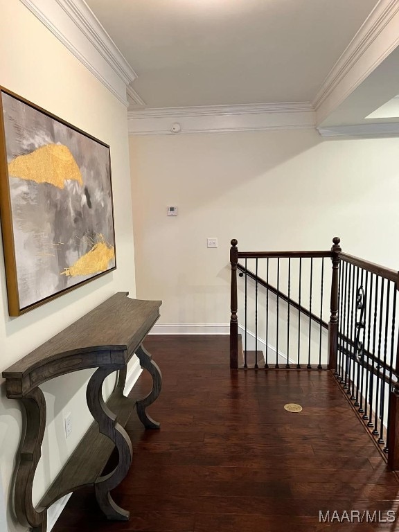 hallway with dark hardwood / wood-style floors and ornamental molding