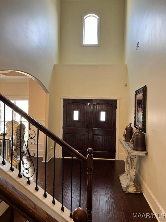 foyer entrance with a high ceiling and hardwood / wood-style flooring