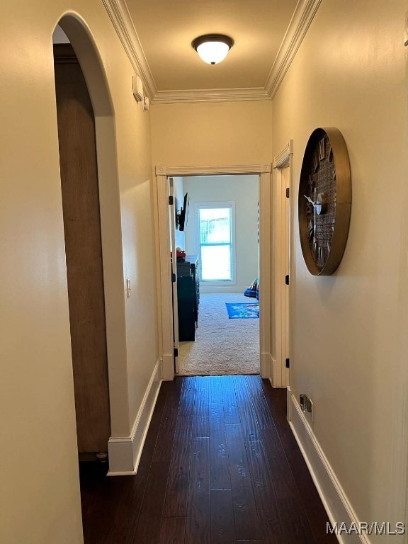 corridor featuring dark wood-type flooring and crown molding