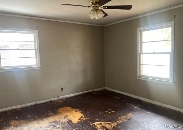 spare room with ceiling fan, plenty of natural light, and ornamental molding