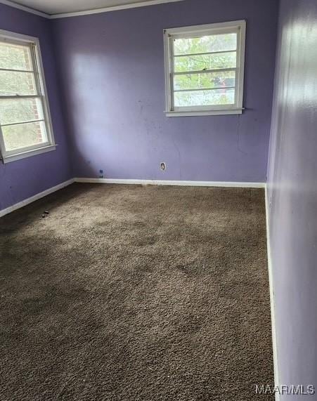 empty room with crown molding and carpet flooring