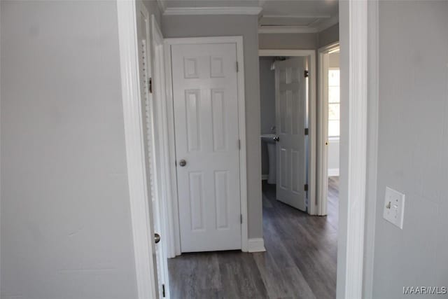 610 Thames St, Greenville, AL 36037 - hallway with dark wood-type flooring and ornamental molding