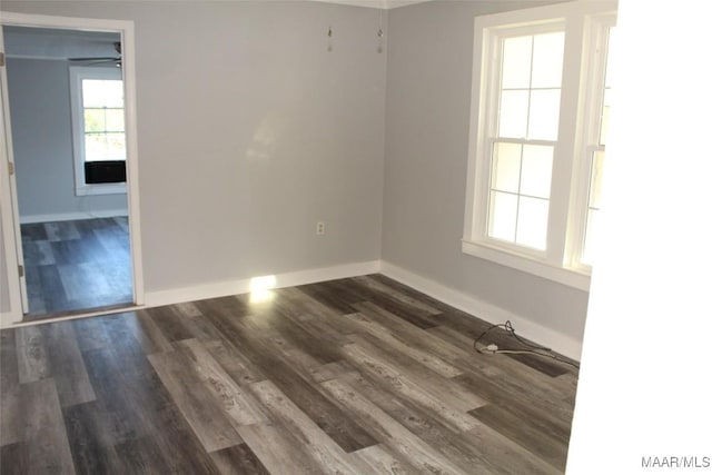 empty room featuring dark hardwood / wood-style floors