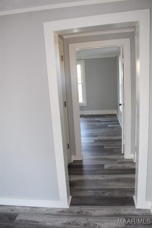 hallway with dark hardwood / wood-style floors