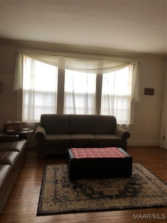 living room featuring hardwood / wood-style flooring and plenty of natural light