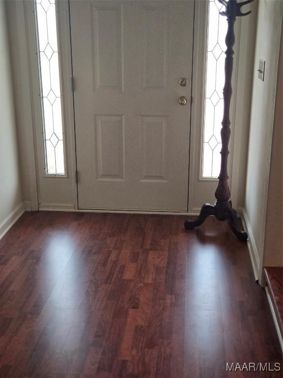 3601 Richardson Rd S, Hope Hull, AL 36043 - foyer featuring dark wood-style flooring and healthy amount of natural light