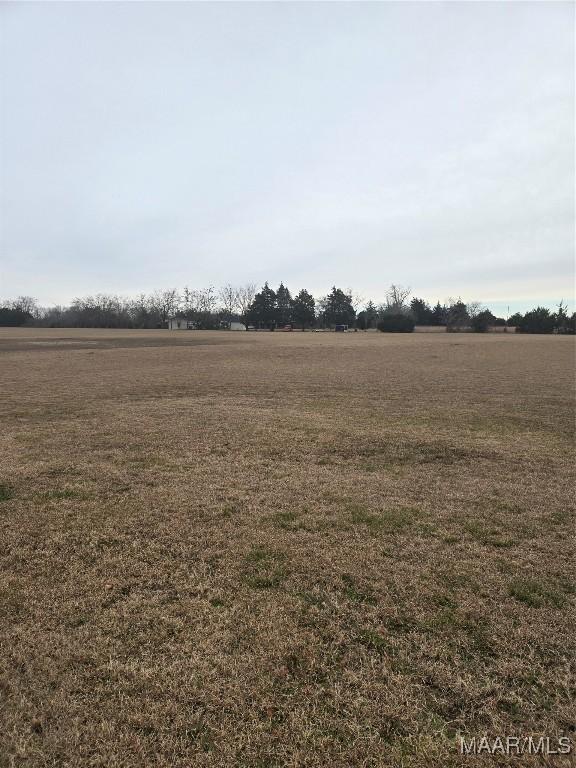 3601 Richardson Rd S, Hope Hull, AL 36043 - view of green lawn with a rural view