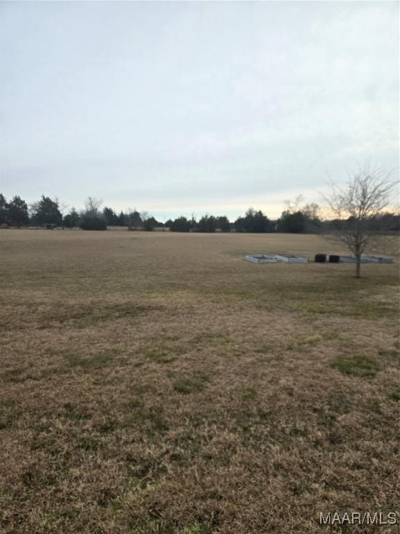 view of yard with a rural view