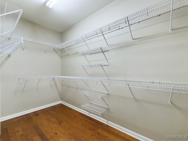 walk in closet with hardwood / wood-style flooring