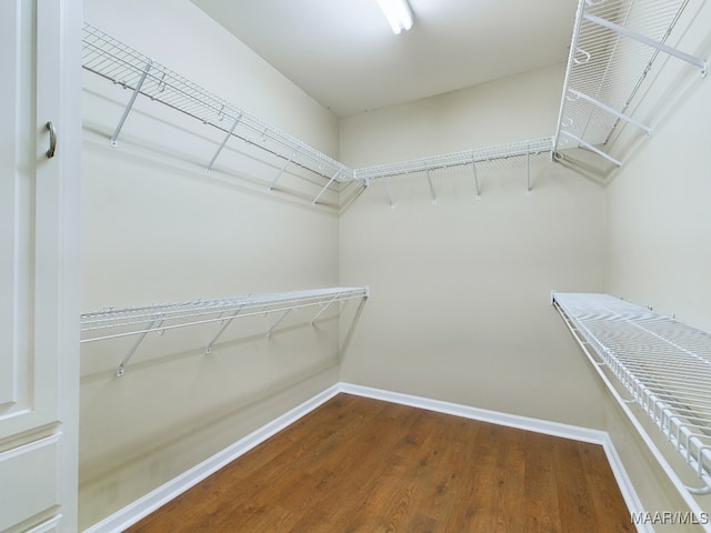 spacious closet with hardwood / wood-style flooring