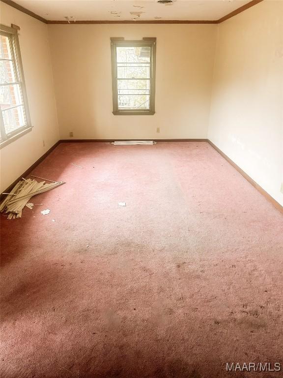 unfurnished room featuring carpet floors and crown molding