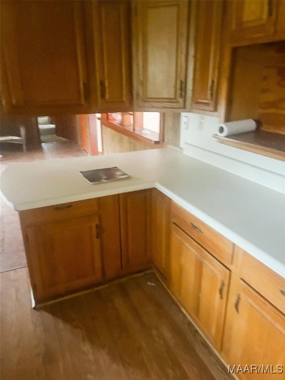 kitchen featuring dark wood-type flooring