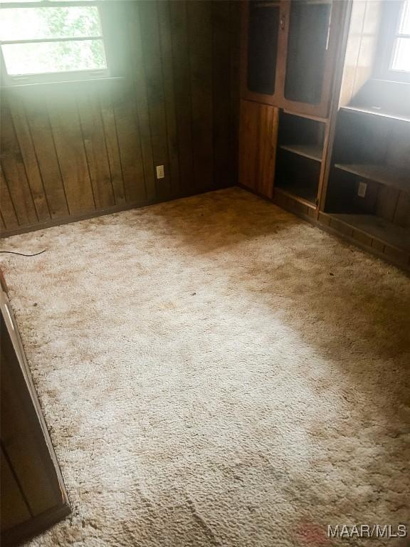 spare room featuring carpet and wooden walls