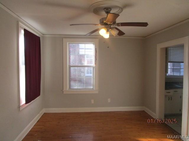 spare room featuring hardwood / wood-style flooring, ceiling fan, and ornamental molding