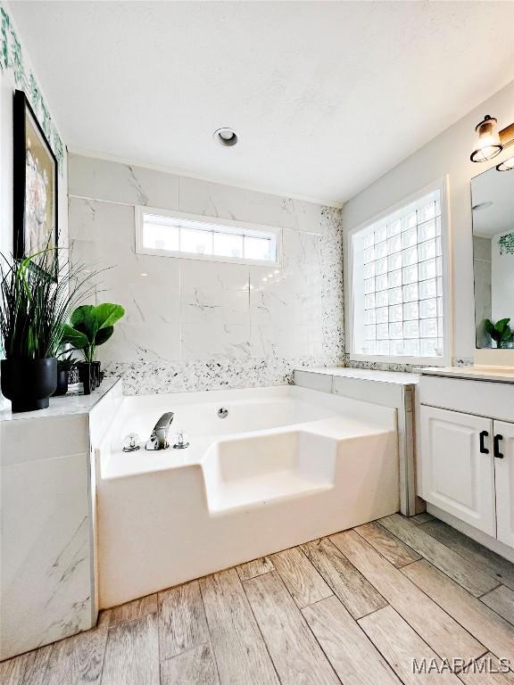 bathroom featuring a bath, vanity, and a healthy amount of sunlight