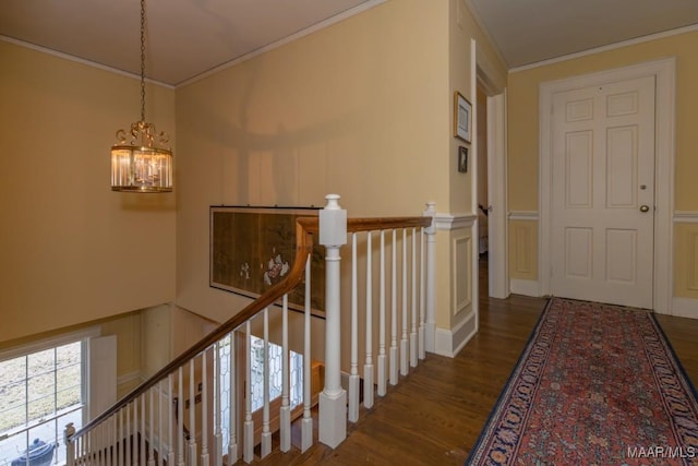 corridor with hardwood / wood-style floors, crown molding, and a notable chandelier