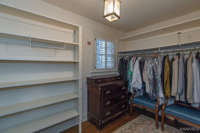 walk in closet with dark hardwood / wood-style floors