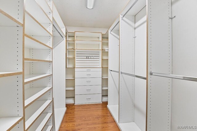 walk in closet featuring light hardwood / wood-style floors