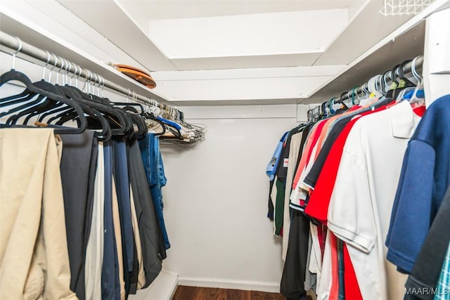 spacious closet with dark wood-type flooring