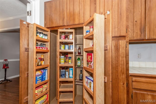 view of pantry