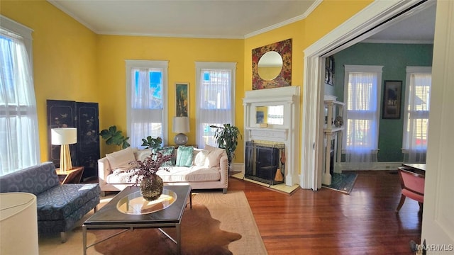 living room featuring crown molding and dark wood-type flooring