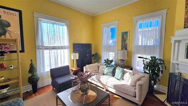 living room featuring ornamental molding and wood-type flooring