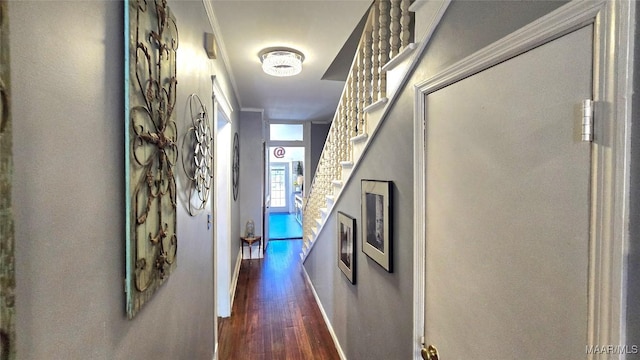 corridor with crown molding and dark hardwood / wood-style floors