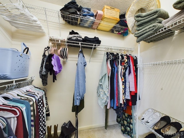 walk in closet with carpet flooring