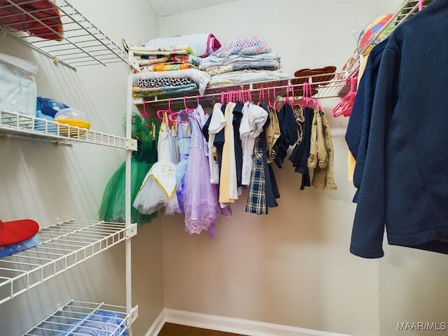 view of walk in closet