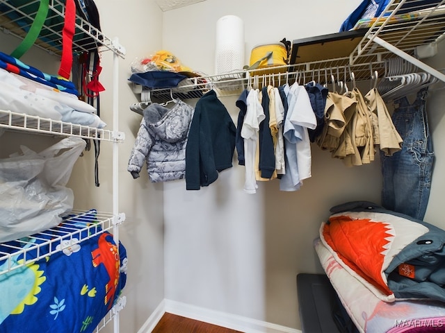 spacious closet with wood finished floors