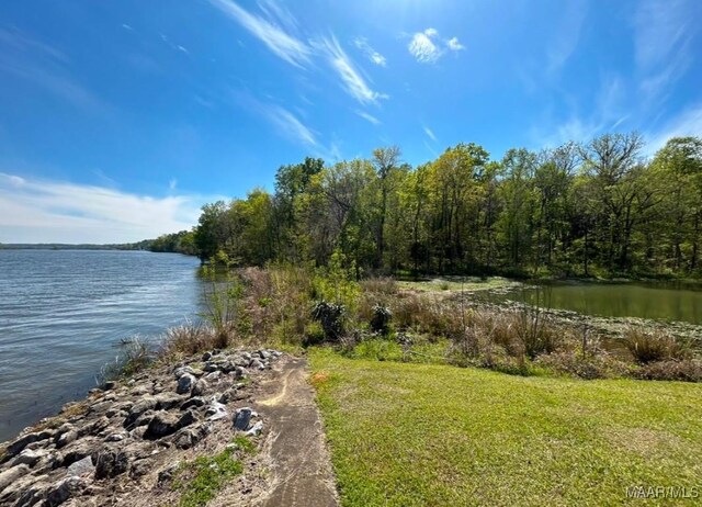 water view