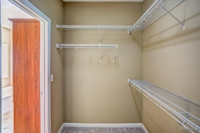 view of spacious closet