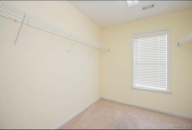 walk in closet featuring light carpet