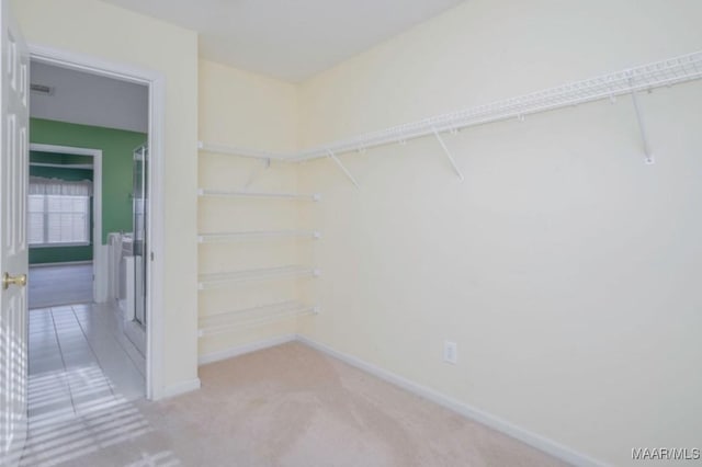 spacious closet featuring carpet