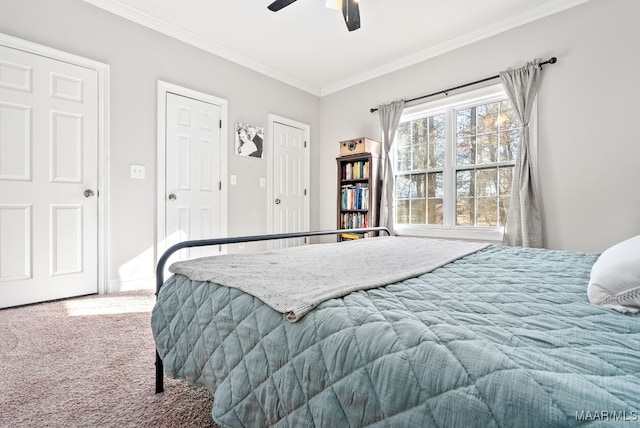 carpeted bedroom with two closets, ornamental molding, and ceiling fan