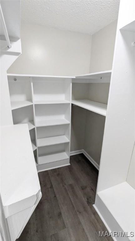 walk in closet featuring dark hardwood / wood-style floors