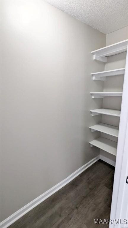 walk in closet with dark hardwood / wood-style flooring